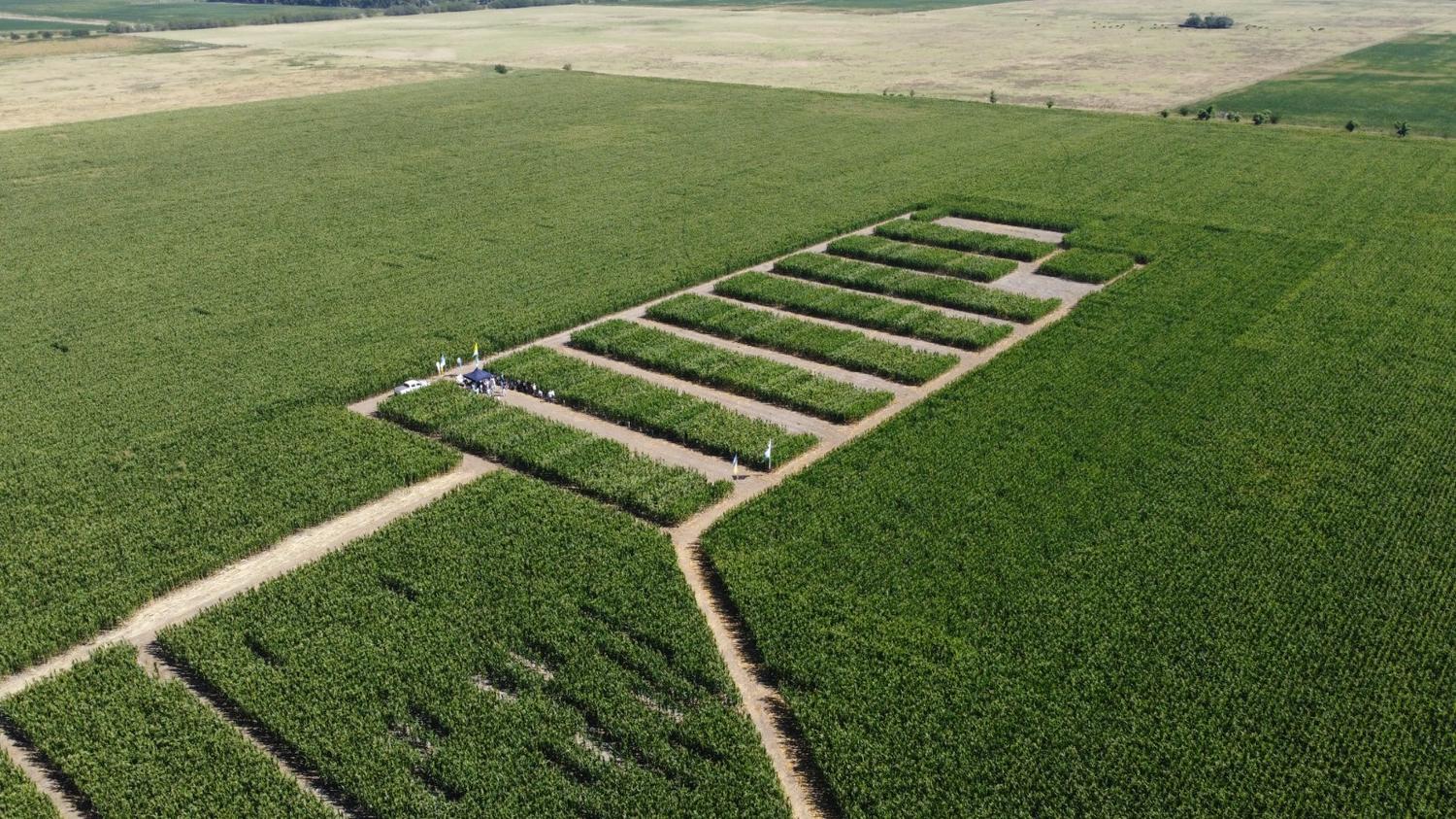Advierten sobre el salto en los precios de los alquileres de los campos