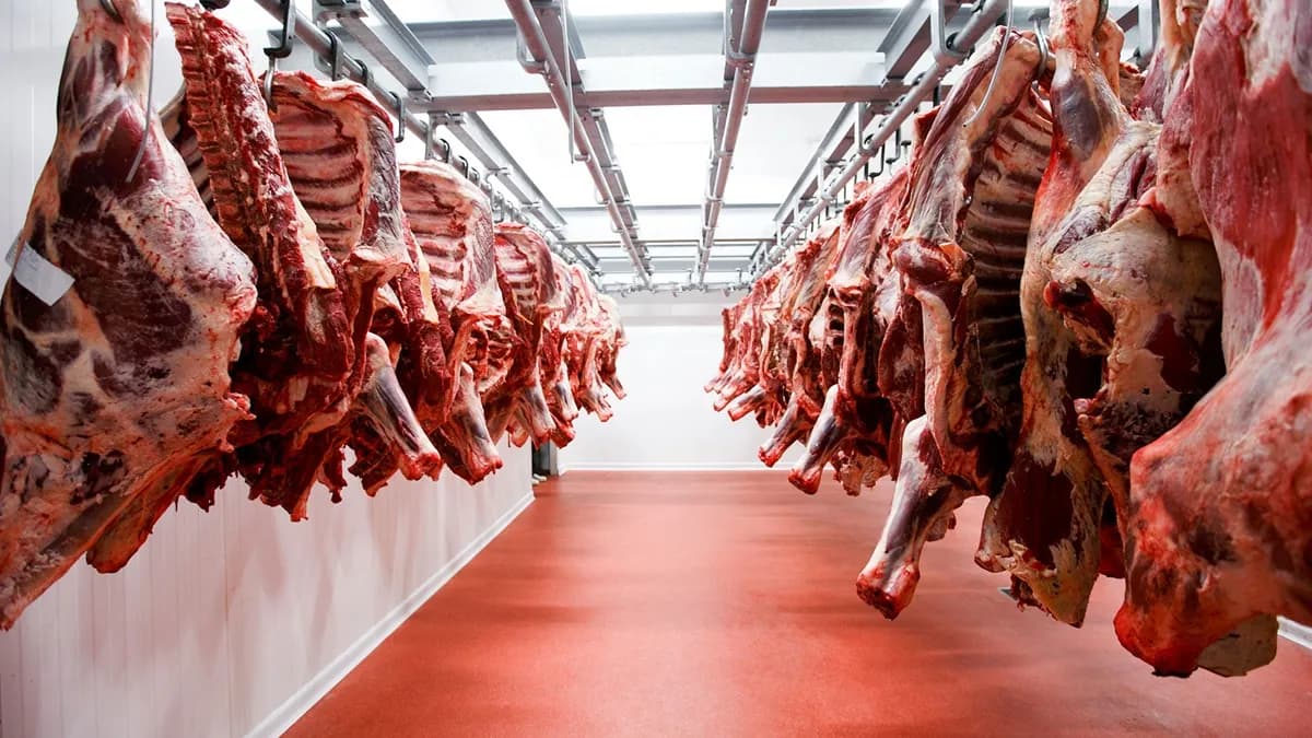 Exportaciones de carne: abren el plazo para acceder a la Cuota Hilton