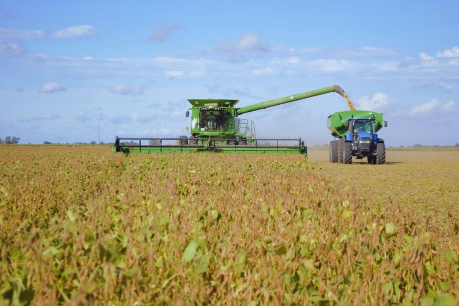 La mayoría de los productores deberán vender la mitad de su cosecha para cubrir costos