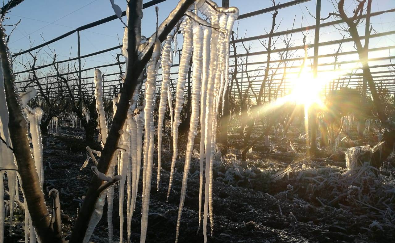 Estiman que lo que queda del otoño y el inicio del invierno será más frío