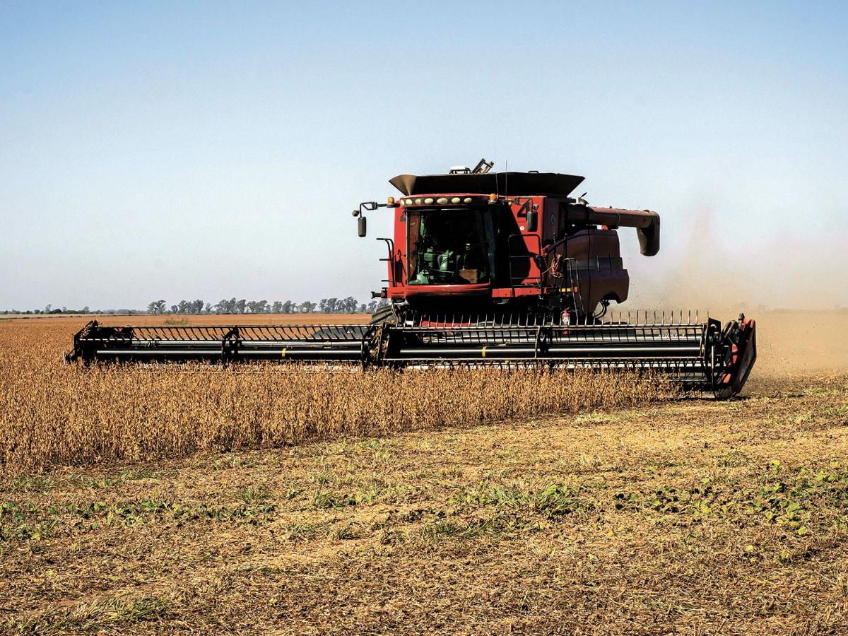 Duro informe del Banco Mundial sobre Argentina: “Es el único líder del agro que perdió participación global”