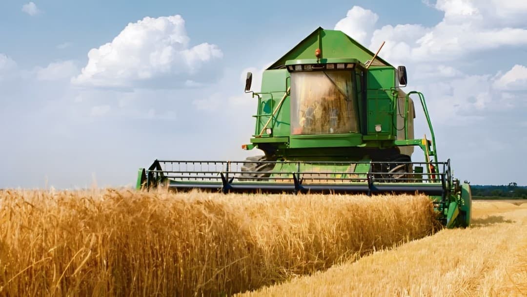 La siembra de trigo avanza a buen ritmo, pero aún hay cautela
