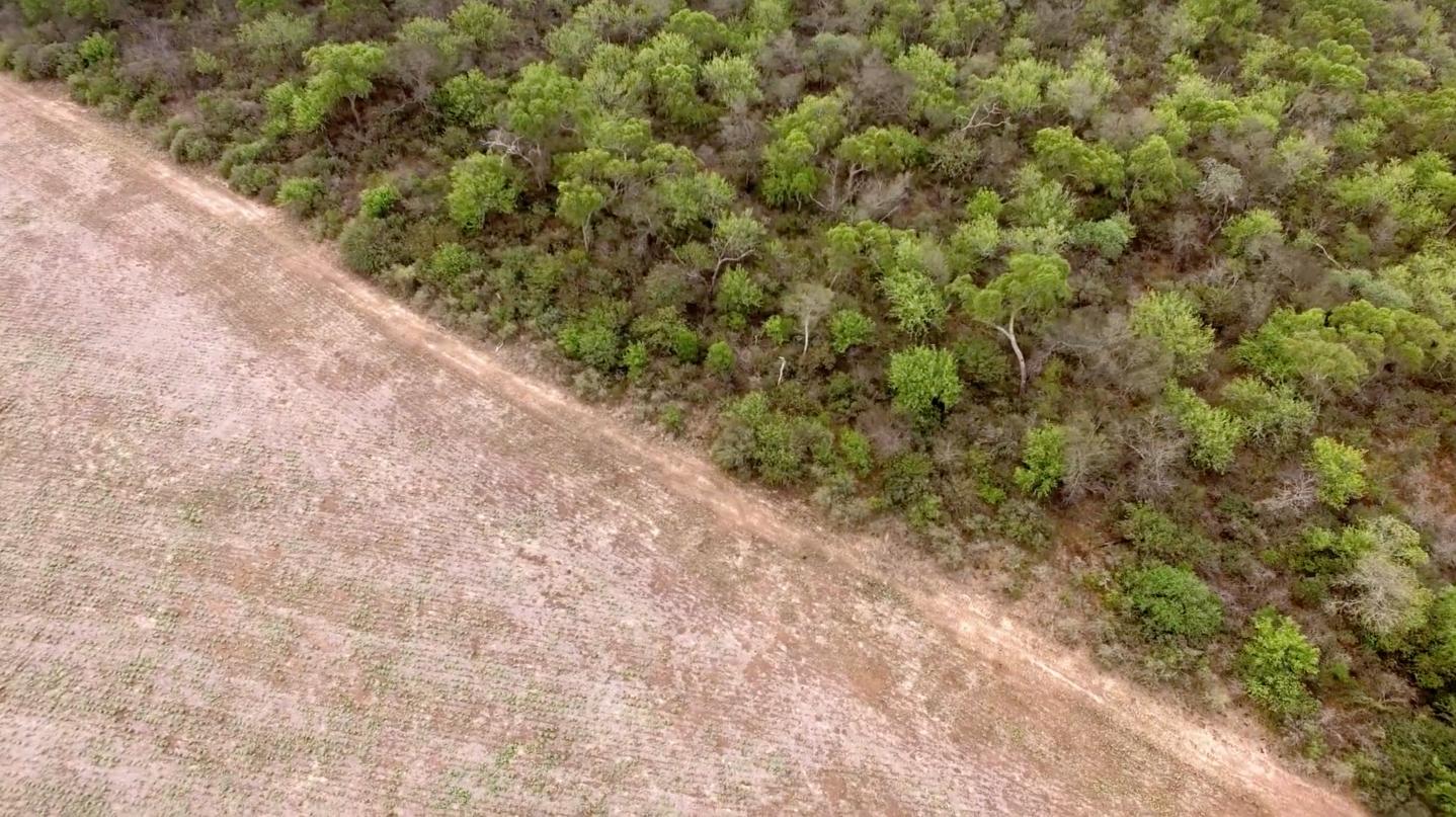 El Gobierno pide que se postergue la norma europea sobre deforestación