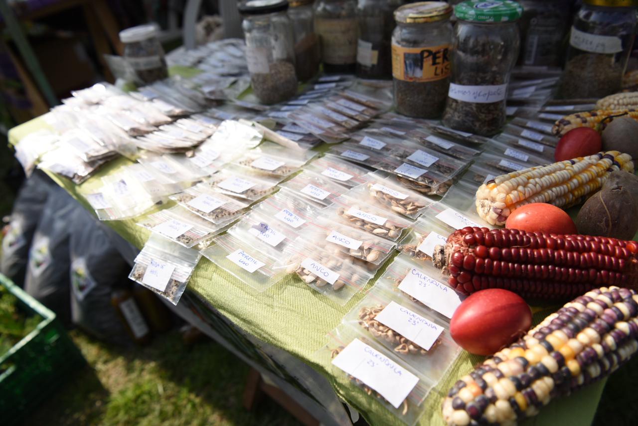 Se realizó la Feria Provincial de Semillas Criollas y Nativas 2024