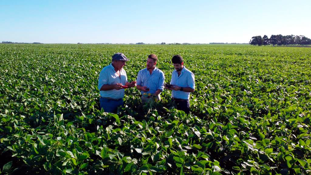 ¿Es la naturaleza realmente un bien gratuito, o estamos pagando un “impuesto invisible” muy caro?