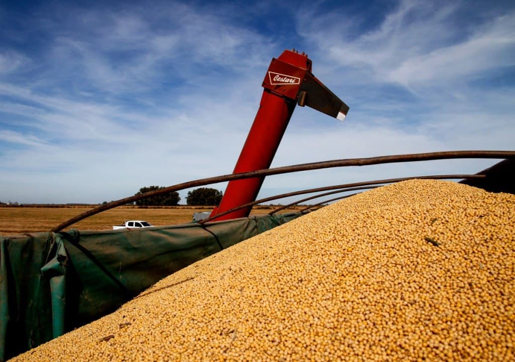 El sector agroindustrial exportó por US$ 9.637 millones en 2024, un 26% más que en 2023