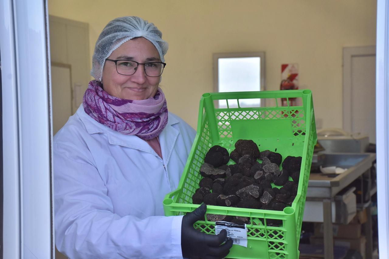 El sudoeste bonaerense pone su mira en el “diamante negro”