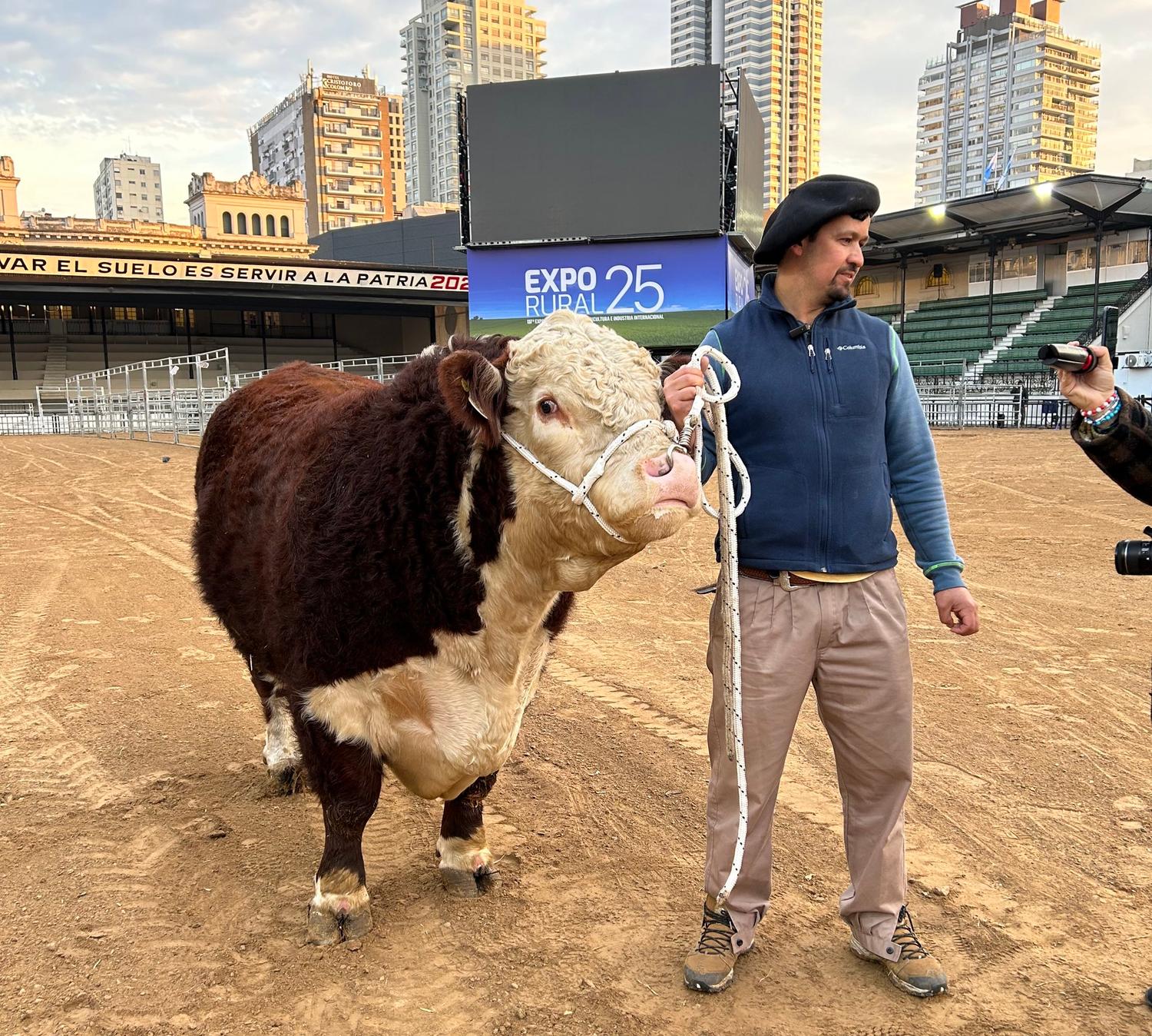 Un toro de 1.000 kilos fue el primer animal en llegar a la Expo Rural