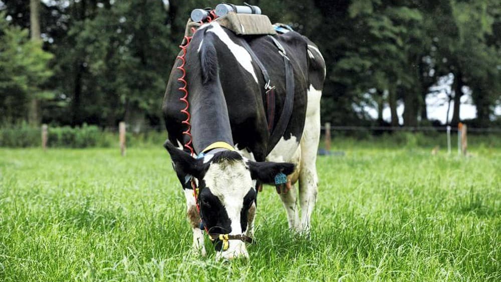 Repensar el metano: la ciencia busca nuevos modelos para entender su papel en el cambio climático