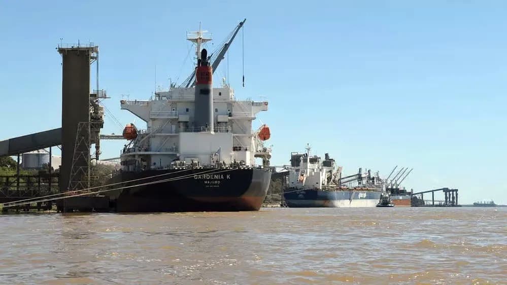 El sector agroexportador respalda el proceso licitatorio de la Hidrovía tras una audiencia pública.