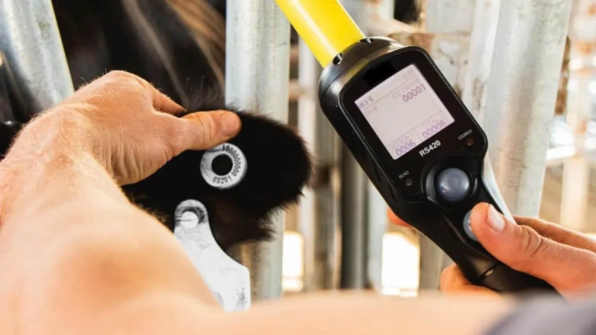 Servicio Nacional de Sanidad y Calidad Agroalimentaria (Senasa)