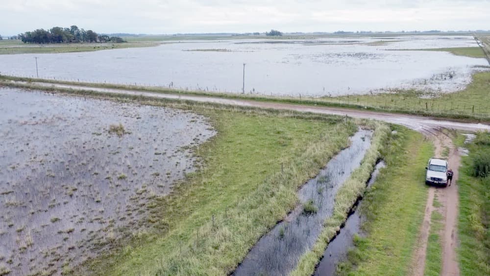 Un campo inundado en el corazón de la provincia de Buenos Aires.