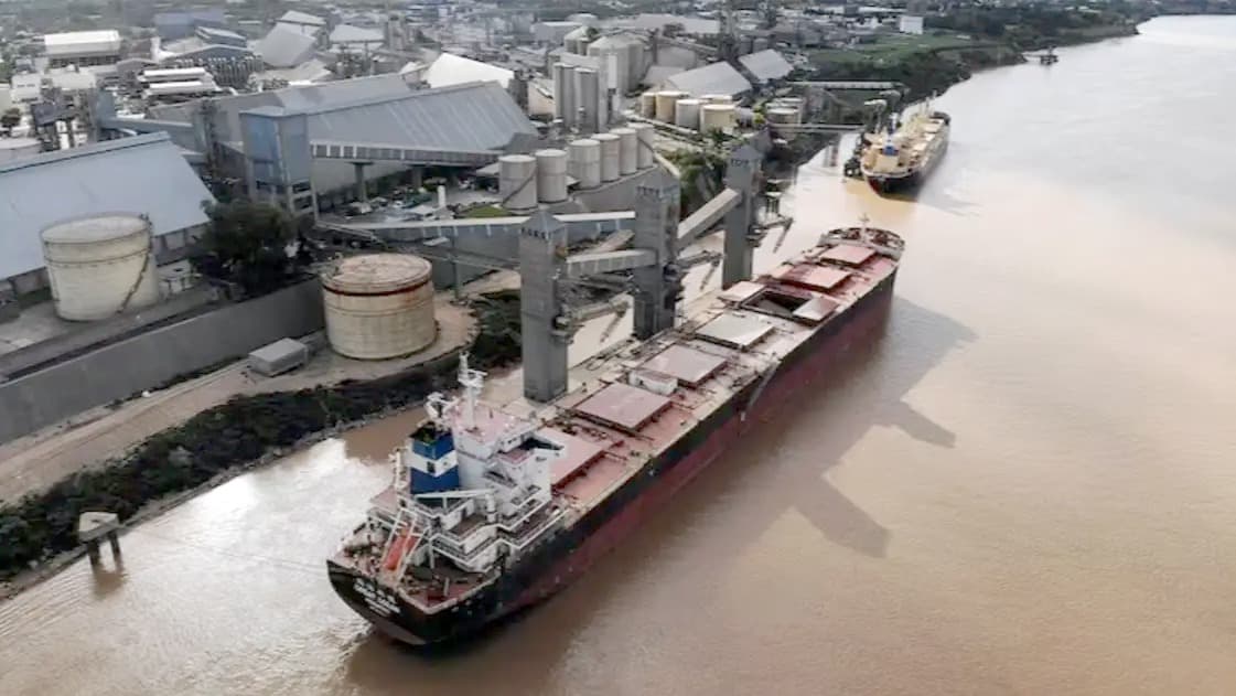 La agroindustria se adapta para exportar a las nuevas reglas europeas contra la deforestación