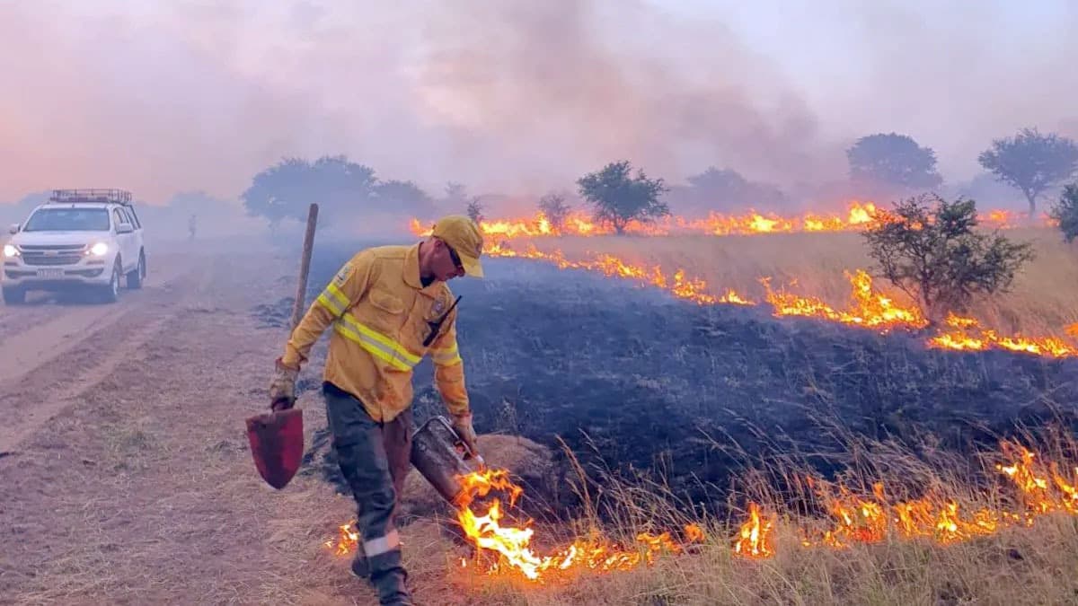 La Pampa bajo el fuego: más de 83 mil hectáreas arrasadas y tres focos aún activos