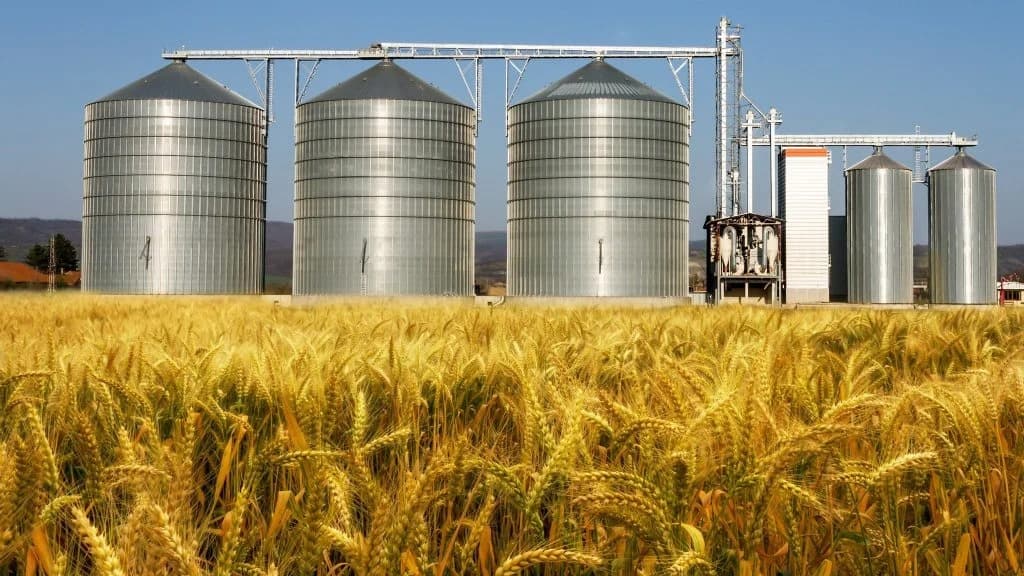 Con mejores lluvias, el campo proyecta la mayor cosecha de granos de la historia