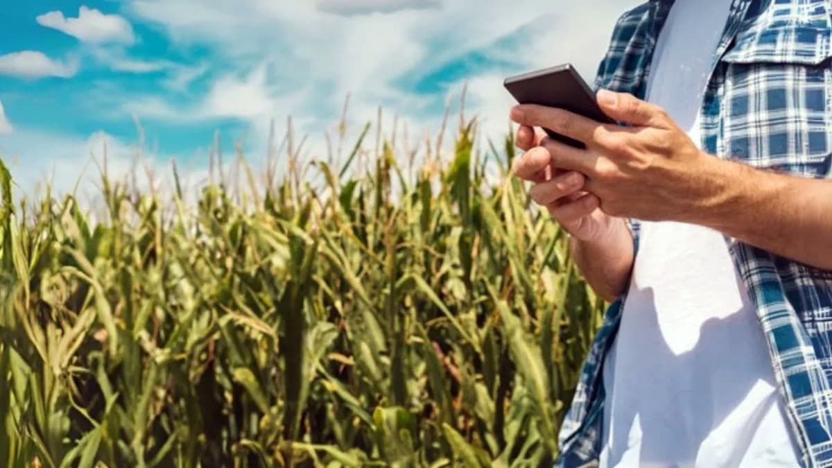 Financiamiento 2025: el agro apostó por el dólar y el crédito digital