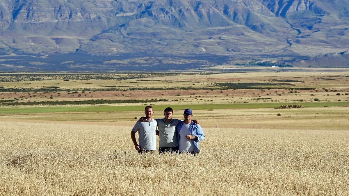Hicieron trigo en el Calafate con rindes de 3.000 kilos por hectárea y hasta Milei los felicitó