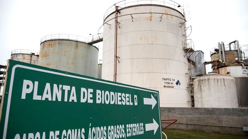 Biodiésel: historia, oportunidades que pueden devanecerse y la necesidad de una política de Estado para recuperar el liderazgo