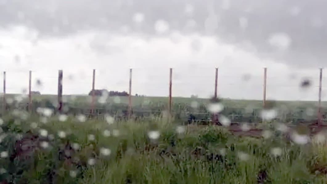 Se espera que El Niño vuelva al campo para la próxima campaña gruesa