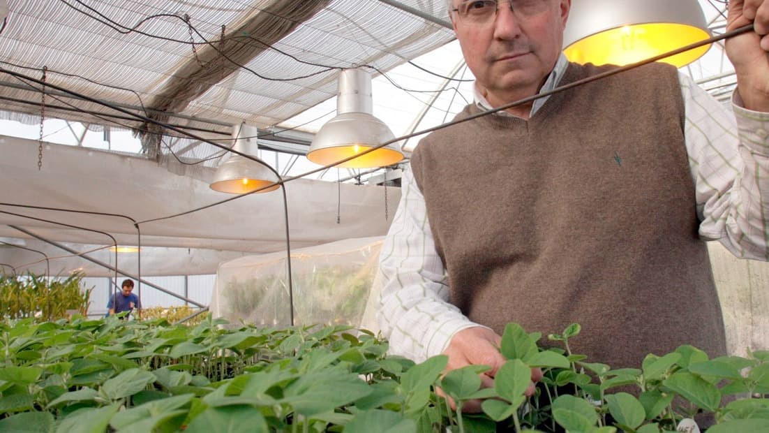Rodolfo Rossi, el impulsor del primer gran programa de mejoramiento de soja en Argentina, que despejó el camino hacia la gran expansión del cultivo.