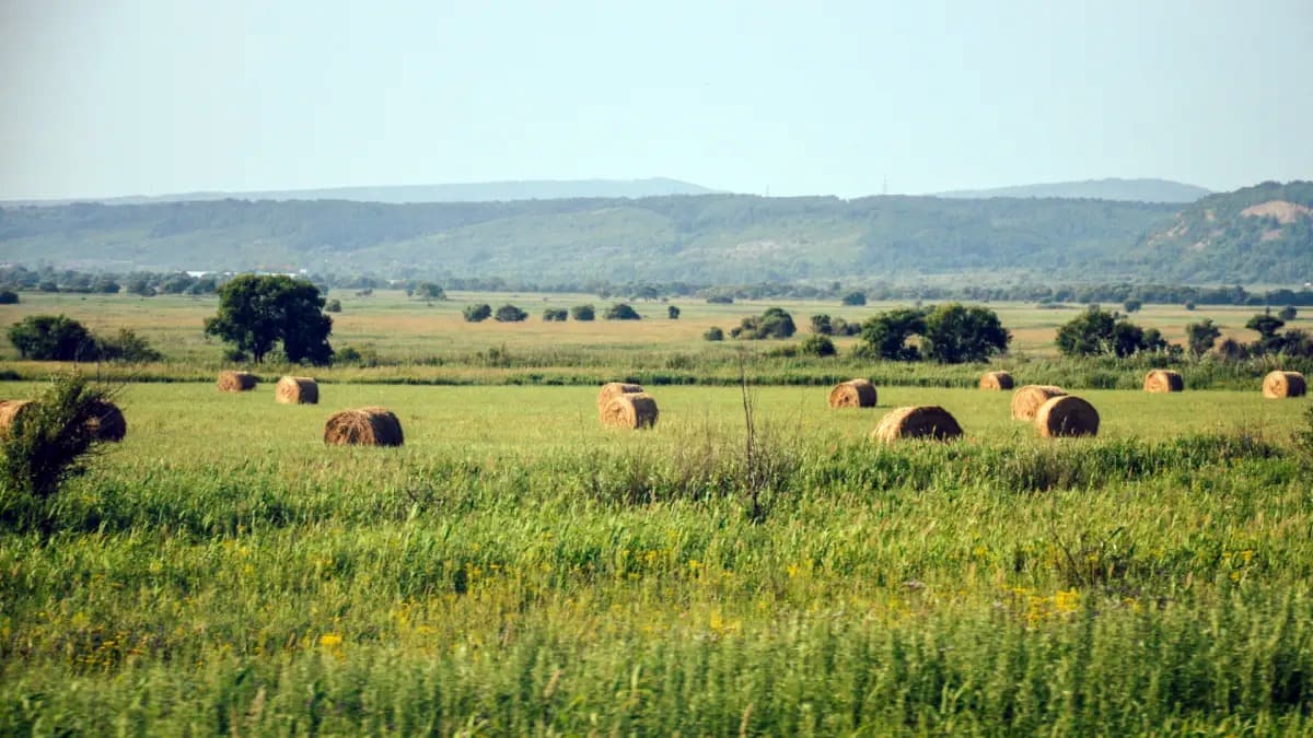 La confianza del productor agropecuario se desplomó 16% y frenó la inversión