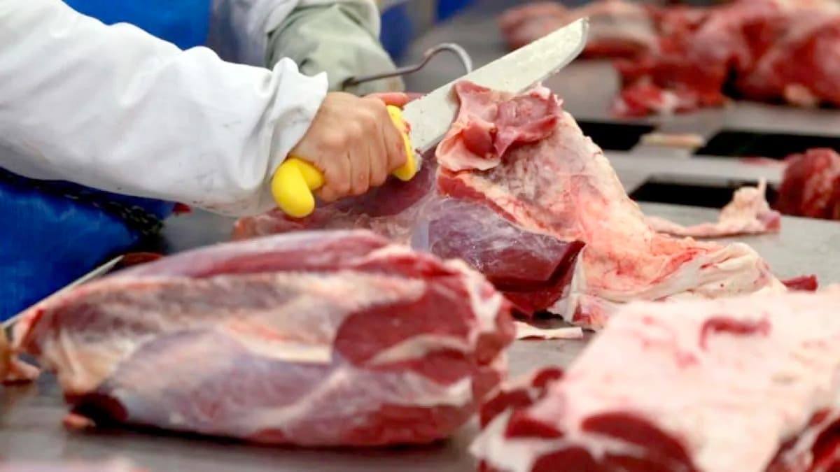 El consumo de carne vacuna cayó un 3,7% y profundizó su retroceso