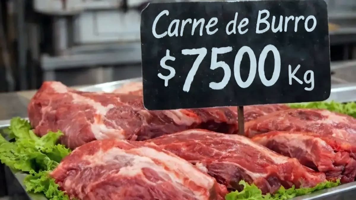 Polémica por la "carne de burro": el Gobierno denunció una "operación internacional" y sumó un cruce con Petro en redes
