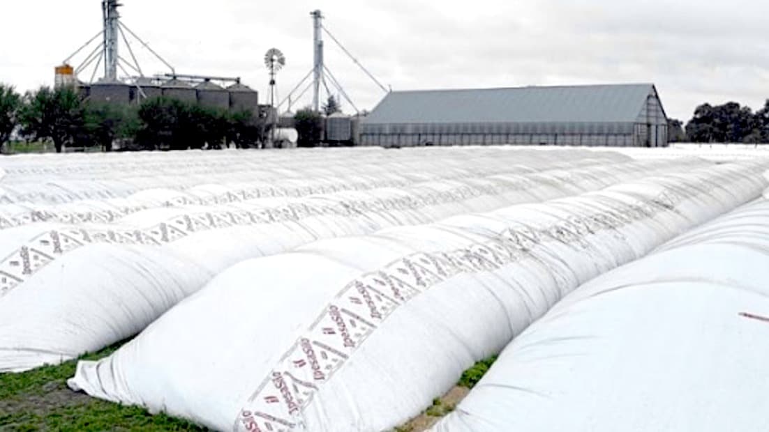 El Banco Central realizó un cambio relevante para los productores que guardaban más del 5% de su cosecha