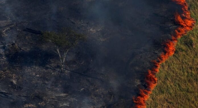 Cambio climático: el 3 de julio fue el día más caluroso a nivel mundial desde que hay registros