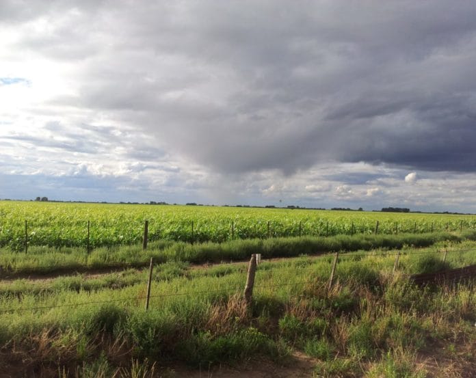 Las condiciones de “El Niño” ya están en la región y se espera una primavera lluviosa
