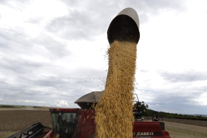 ¿Cuánto queda por comercializarse de soja en la actual campaña? Los números que maneja el agro