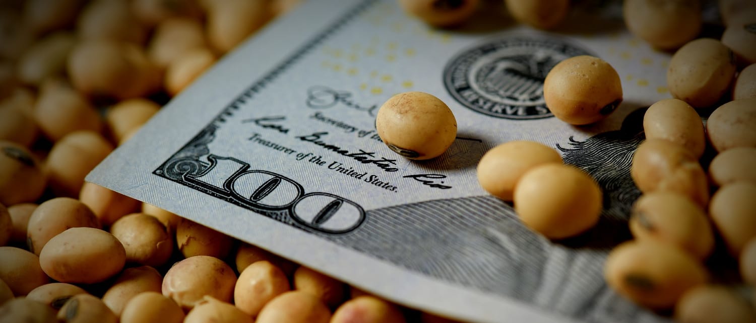 Levantan prohibición para acceder al mercado de cambio a empresas que operaron con dólar soja