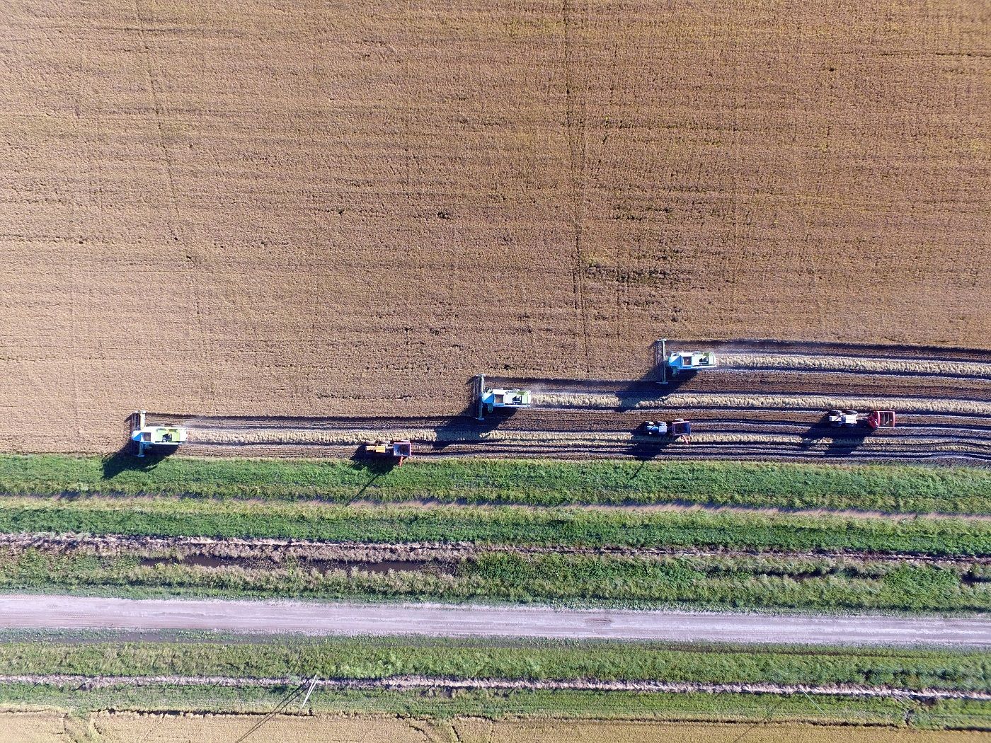 Primavera: se esperan lluvias y temperaturas superiores a las normales