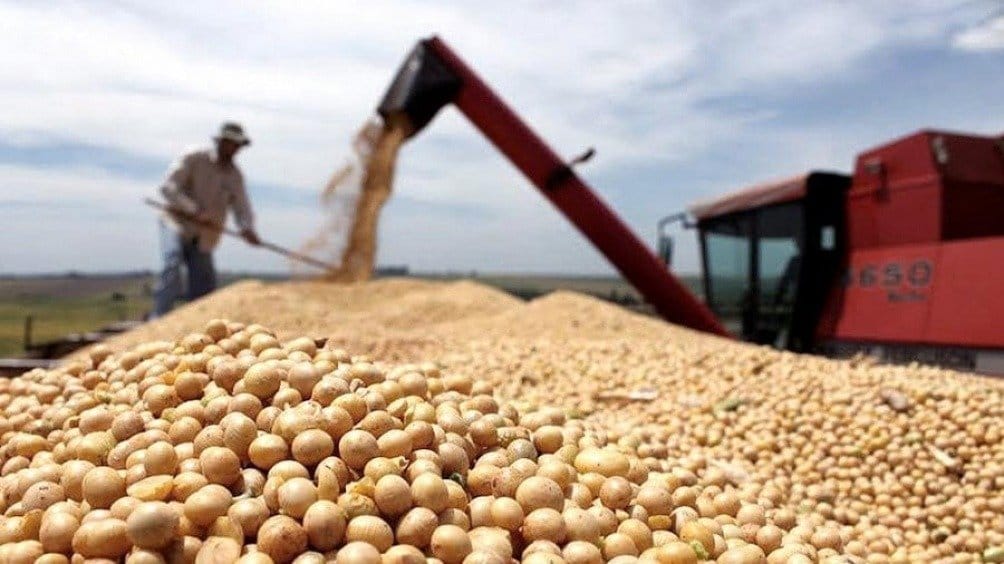 El Gobierno derogó una medida de Alberto Fernández que imponía topes a la exportación de granos