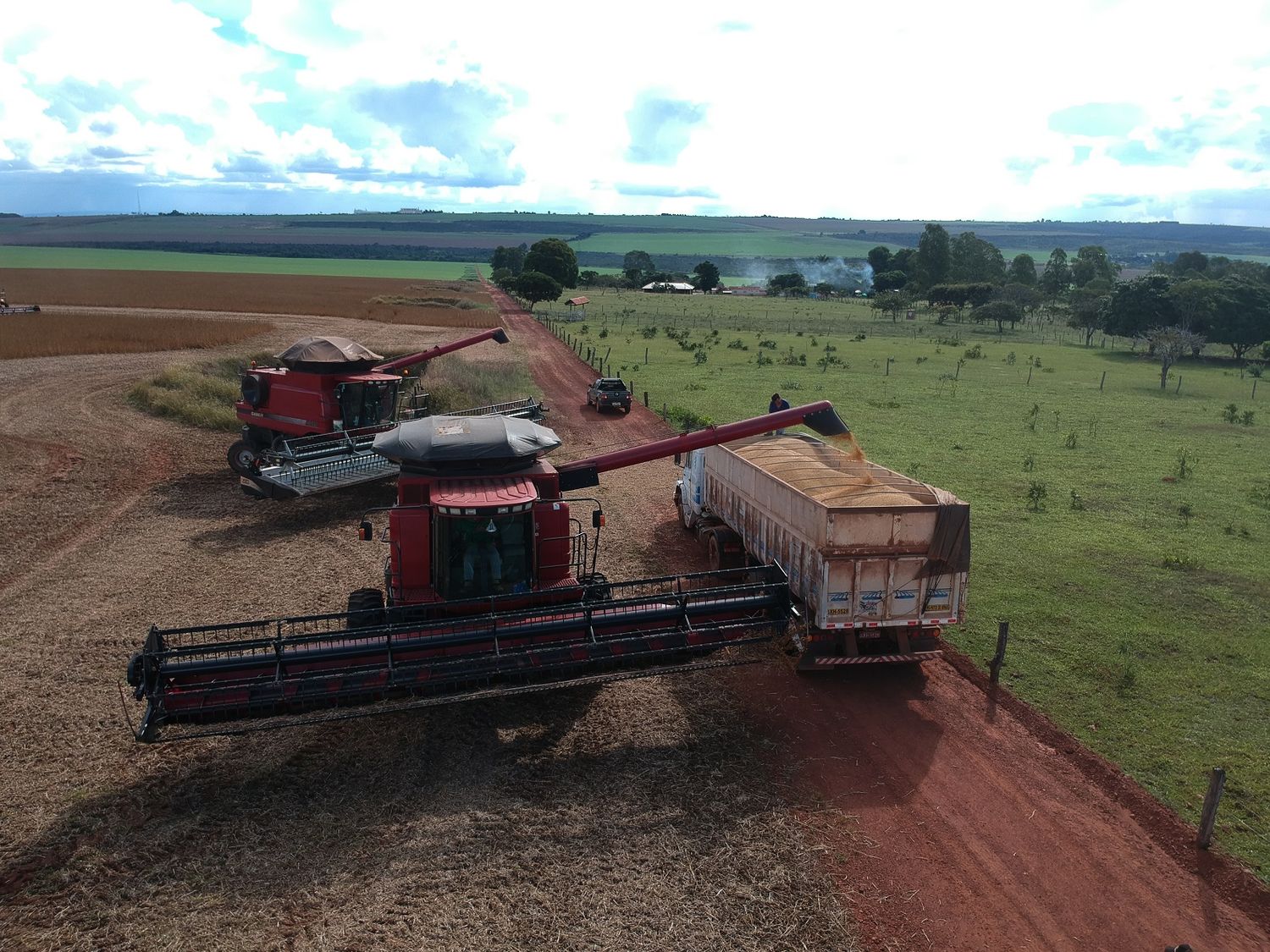 Realizan un análisis de calidad de la soja en todas las regiones productivas