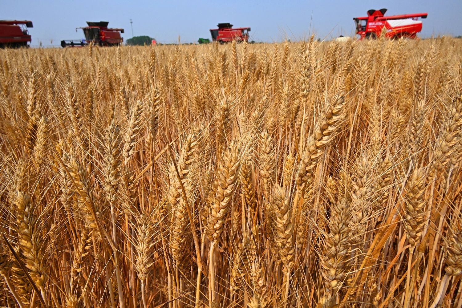 El campo pide el fin de las retenciones y habla de la “desaparición del productor”