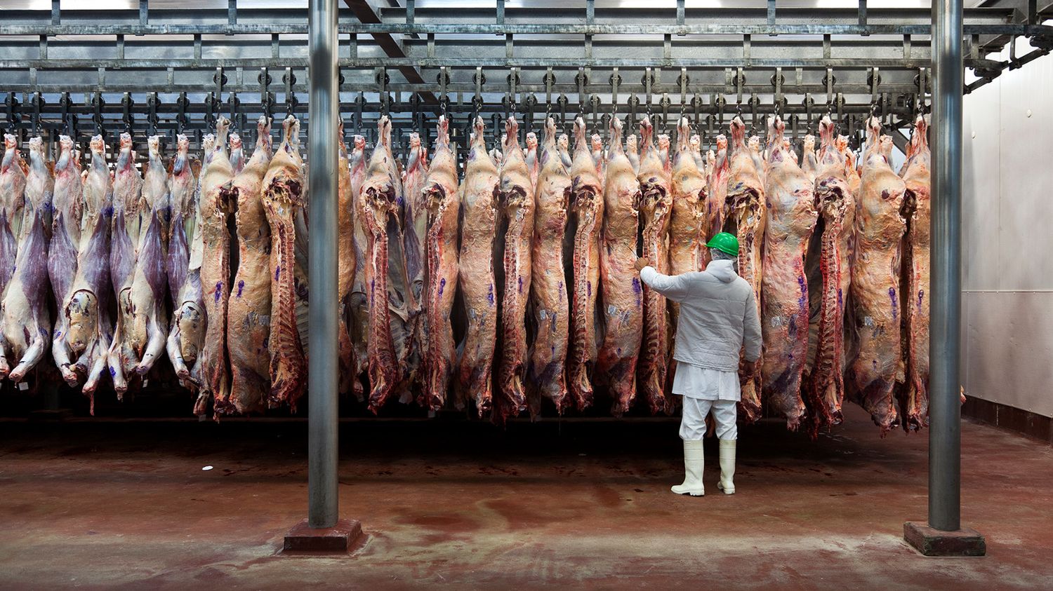 El Gobierno aclaró que las retenciones cero siguen para la exportación de carnes