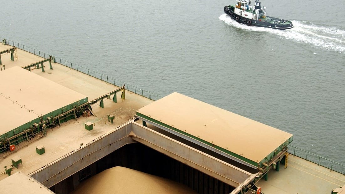 China suele adquirir entre 25 y 27 millones de toneladas de soja estadounidense por campaña.