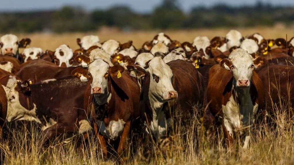 "La vacunación es una herramienta que nos da seguridad y estabilidad sanitaria"