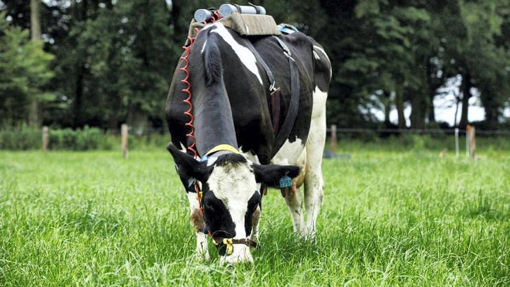 Repensar el metano: la ciencia busca nuevos modelos para entender su papel en el cambio climático