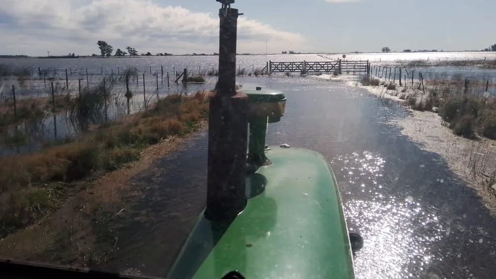 Las inundaciones afectan a miles de hectáreas en la provincia. (Foto: Patricia Gorza)