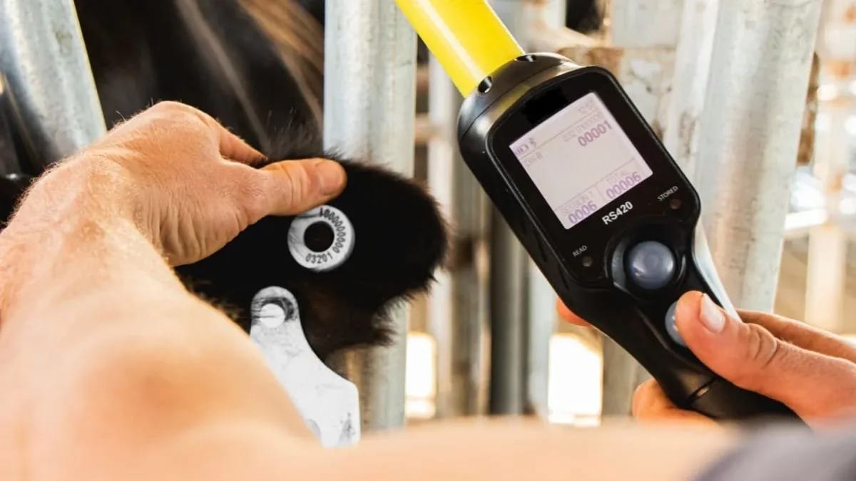 Servicio Nacional de Sanidad y Calidad Agroalimentaria (Senasa)