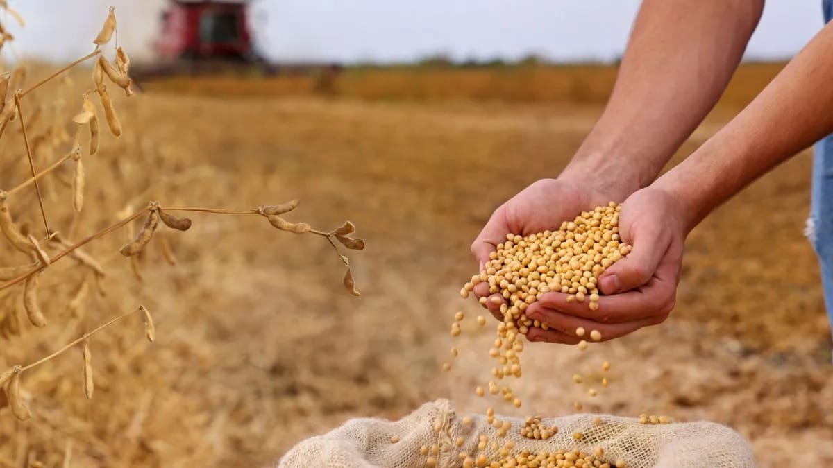Farmers acusan a Trump de traición por el acuerdo con Argentina