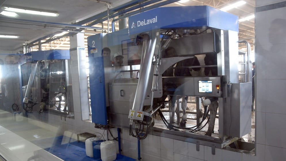 Tambos robotizados: la revolución tecnológica que transforma la lechería argentina