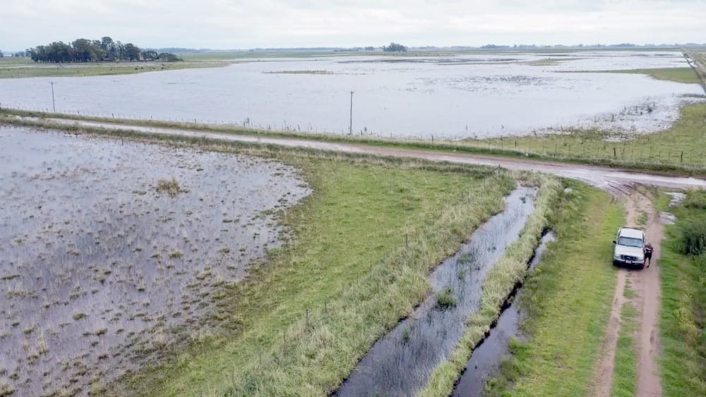 Un campo inundado en el corazón de la provincia de Buenos Aires.