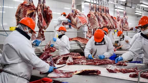 Para el segundo semestre proyectan una mejora en las exportaciones de carne