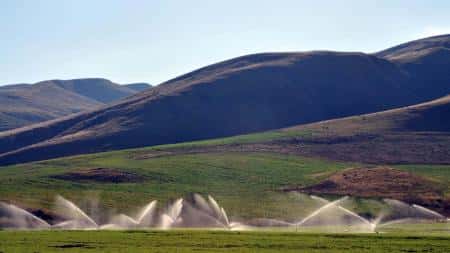 Argentina recibirá préstamos por US$ 260 millones destinados a la agroindustria