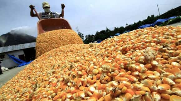 Nuevo dólar agro: en ocho días ya se negociaron cinco millones de toneladas