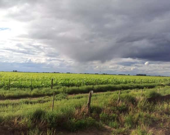 Las condiciones de “El Niño” ya están en la región y se espera una primavera lluviosa