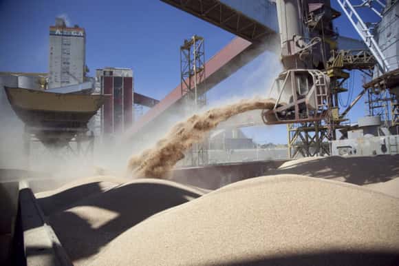 Las lluvias traen alivio y otro panorama para el maíz y la soja: podrían aportar exportaciones por 29.000 millones de dólares